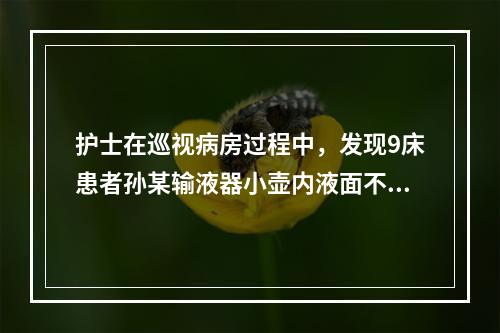 护士在巡视病房过程中，发现9床患者孙某输液器小壶内液面不断自