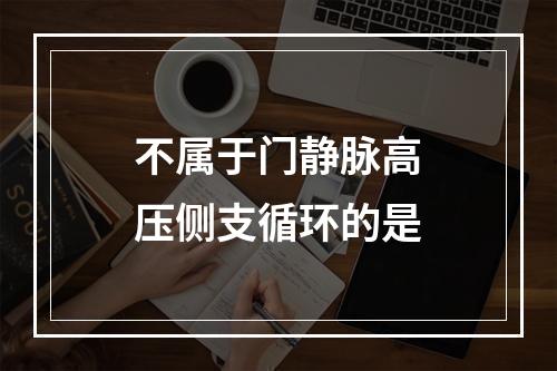 不属于门静脉高压侧支循环的是