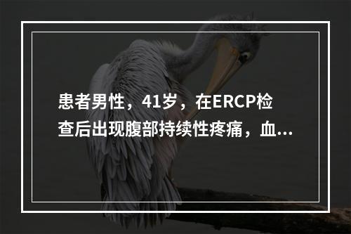 患者男性，41岁，在ERCP检查后出现腹部持续性疼痛，血清淀