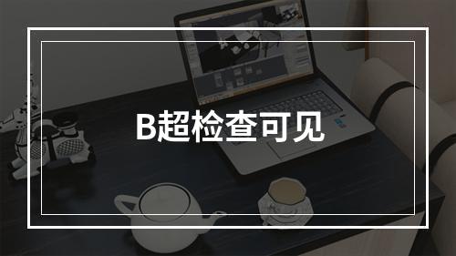 B超检查可见