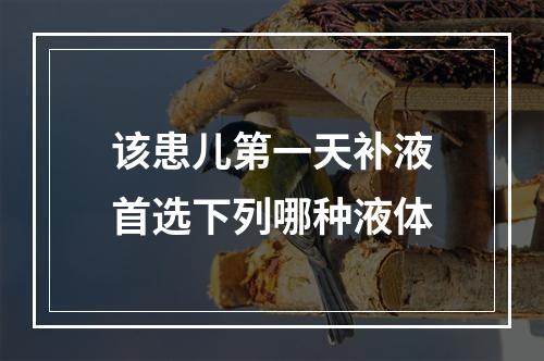 该患儿第一天补液首选下列哪种液体