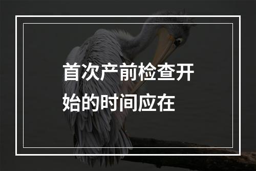 首次产前检查开始的时间应在