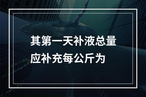 其第一天补液总量应补充每公斤为