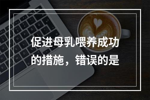 促进母乳喂养成功的措施，错误的是