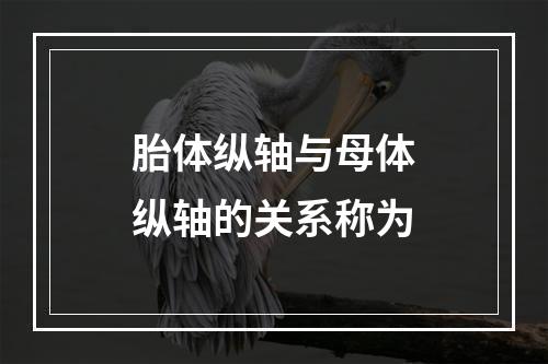 胎体纵轴与母体纵轴的关系称为