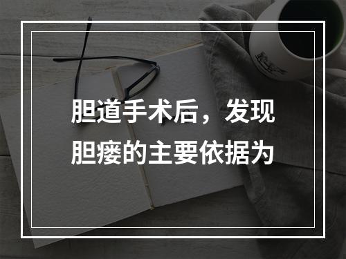 胆道手术后，发现胆瘘的主要依据为