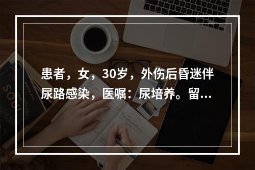 患者，女，30岁，外伤后昏迷伴尿路感染，医嘱：尿培养。留取