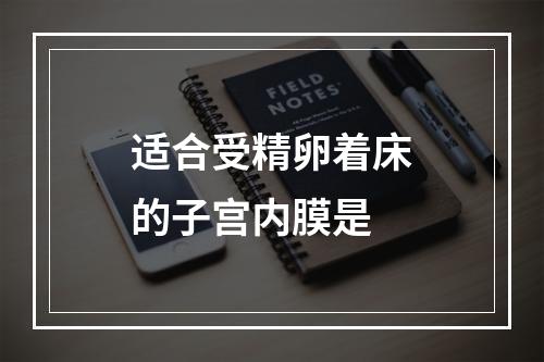 适合受精卵着床的子宫内膜是