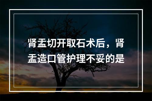 肾盂切开取石术后，肾盂造口管护理不妥的是