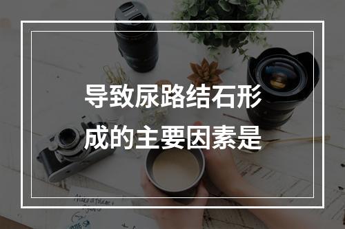 导致尿路结石形成的主要因素是