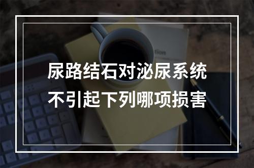 尿路结石对泌尿系统不引起下列哪项损害