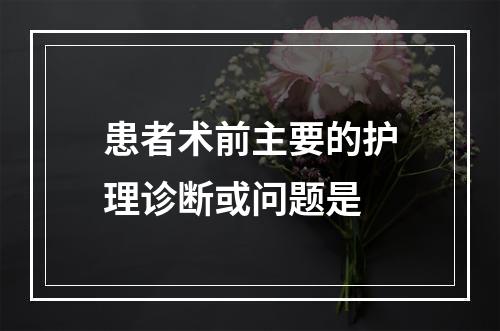 患者术前主要的护理诊断或问题是