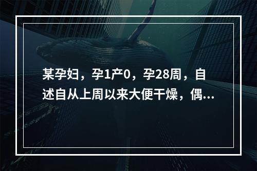 某孕妇，孕1产0，孕28周，自述自从上周以来大便干燥，偶尔会