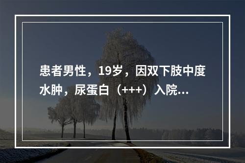 患者男性，19岁，因双下肢中度水肿，尿蛋白（+++）入院，查