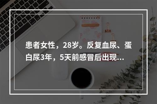 患者女性，28岁。反复血尿、蛋白尿3年，5天前感冒后出现乏力