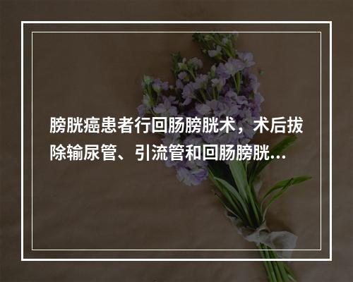 膀胱癌患者行回肠膀胱术，术后拔除输尿管、引流管和回肠膀胱引流