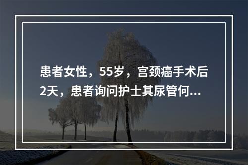 患者女性，55岁，宫颈癌手术后2天，患者询问护士其尿管何时可