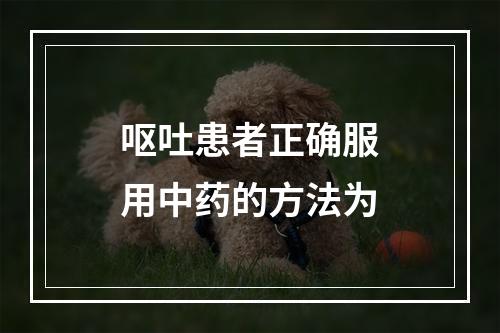 呕吐患者正确服用中药的方法为