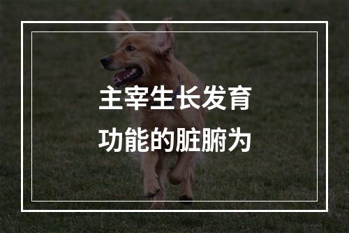 主宰生长发育功能的脏腑为