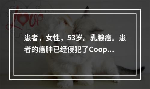 患者，女性，53岁。乳腺癌。患者的癌肿已经侵犯了Cooper