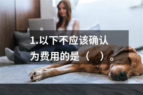 1.以下不应该确认为费用的是（　）。