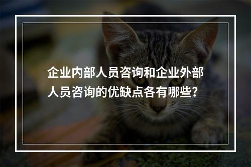 企业内部人员咨询和企业外部人员咨询的优缺点各有哪些？