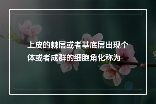 上皮的棘层或者基底层出现个体或者成群的细胞角化称为