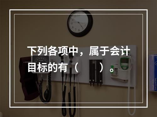 下列各项中，属于会计目标的有（　　）。