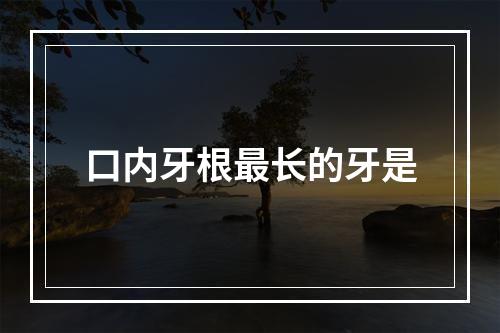 口内牙根最长的牙是