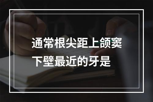 通常根尖距上颌窦下壁最近的牙是