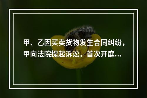 甲、乙因买卖货物发生合同纠纷，甲向法院提起诉讼。首次开庭审理