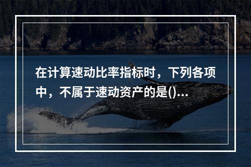 在计算速动比率指标时，下列各项中，不属于速动资产的是()。