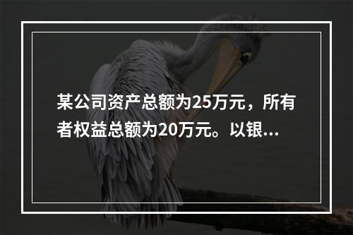 某公司资产总额为25万元，所有者权益总额为20万元。以银行存