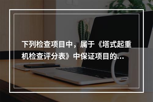 下列检查项目中，属于《塔式起重机检查评分表》中保证项目的有（