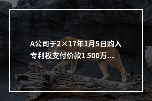 A公司于2×17年1月5日购入专利权支付价款1 500万元。