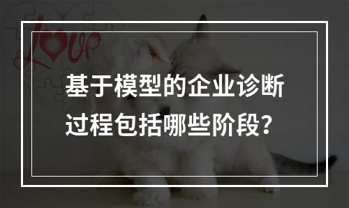 基于模型的企业诊断过程包括哪些阶段？