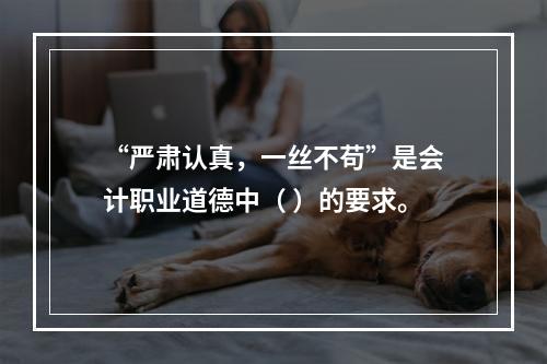 “严肃认真，一丝不苟”是会计职业道德中（ ）的要求。