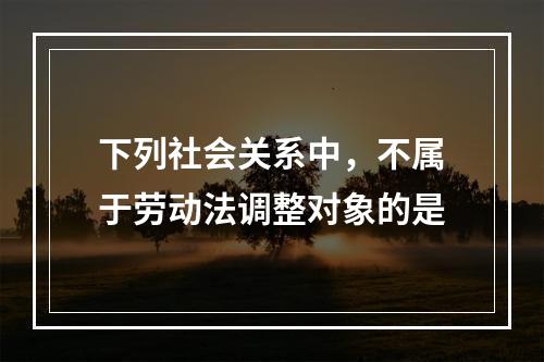 下列社会关系中，不属于劳动法调整对象的是