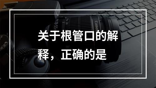 关于根管口的解释，正确的是