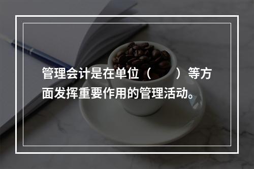 管理会计是在单位（　　）等方面发挥重要作用的管理活动。