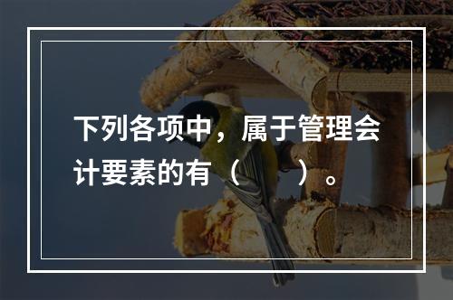 下列各项中，属于管理会计要素的有（　　）。