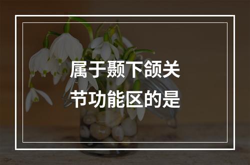 属于颞下颌关节功能区的是