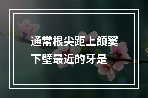 通常根尖距上颌窦下壁最近的牙是