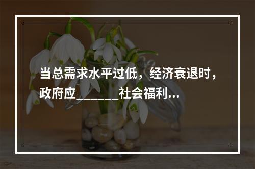 当总需求水平过低，经济衰退时，政府应______社会福利费用