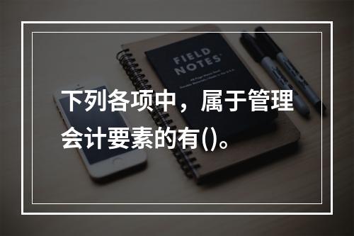 下列各项中，属于管理会计要素的有()。