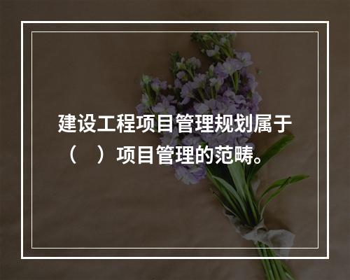 建设工程项目管理规划属于（　）项目管理的范畴。