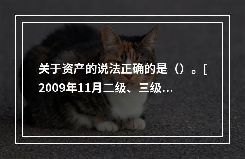 关于资产的说法正确的是（）。[2009年11月二级、三级真题