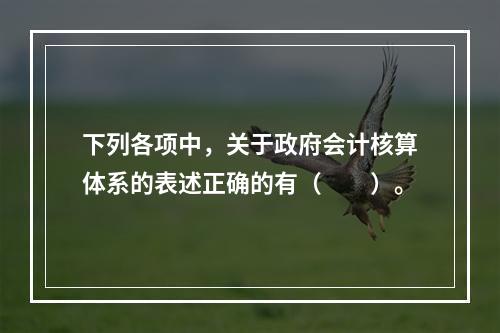 下列各项中，关于政府会计核算体系的表述正确的有（　　）。