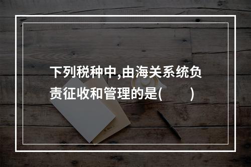 下列税种中,由海关系统负责征收和管理的是(  )