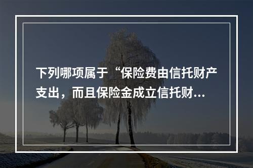 下列哪项属于“保险费由信托财产支出，而且保险金成立信托财产